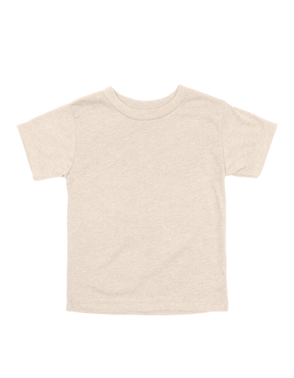 Custom toddler Bella + Canvas heathered T-shirt in Heather Dust